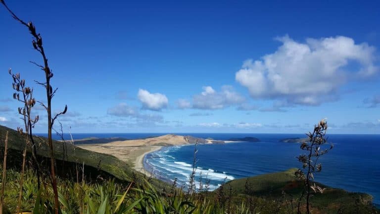 partir en nouvelle zélande