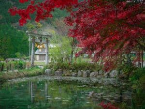 Working Holiday en Japón